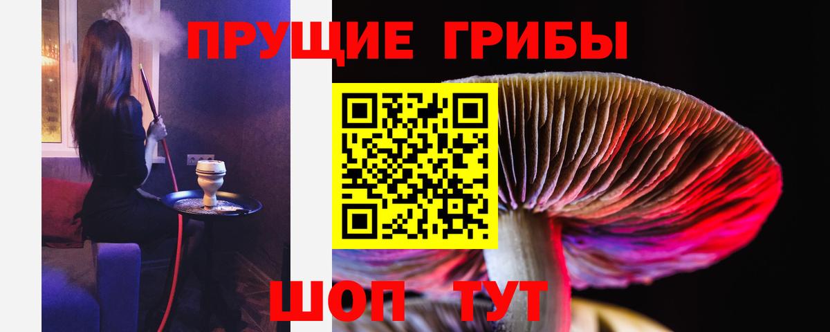 Карасук  Псилоцибиновые грибы мицелий  Вход с VPN 